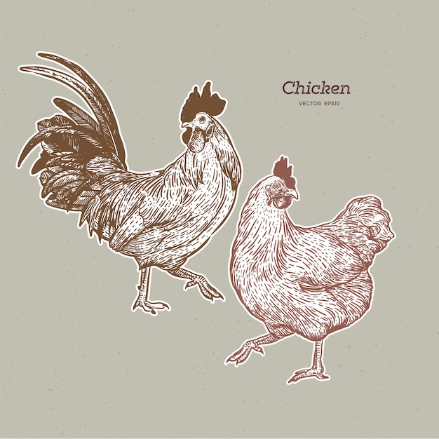 Chicken collection