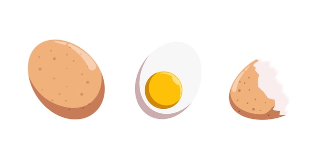 Chicken egg collection illustration design