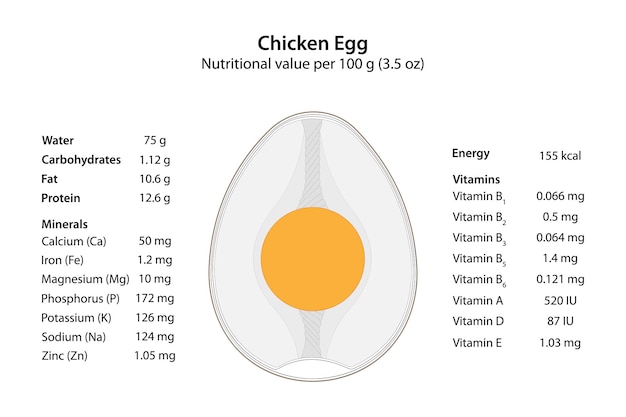 ベクトル 鶏卵の栄養価