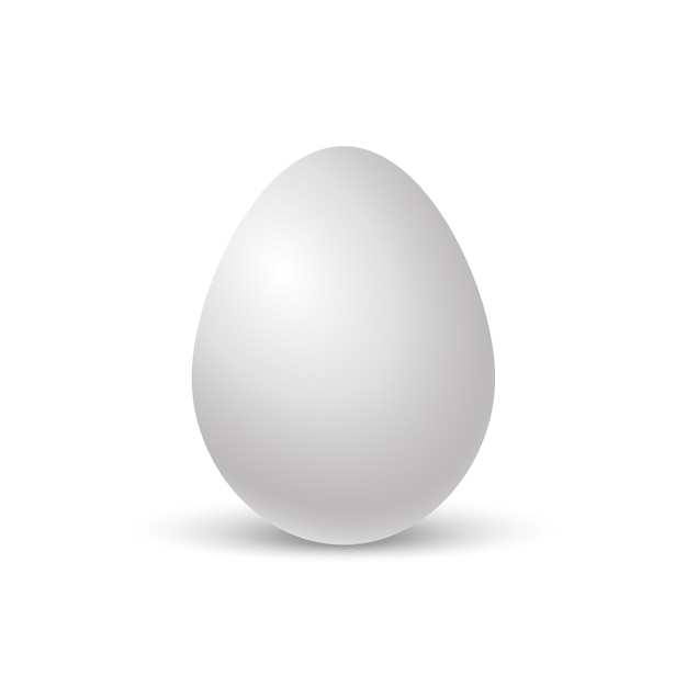 Vector chicken egg. ralistic egg with soft shadow. single realistic animal egg. template for easter holiday isolated on white background.