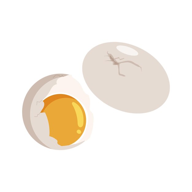 Vector chicken egg