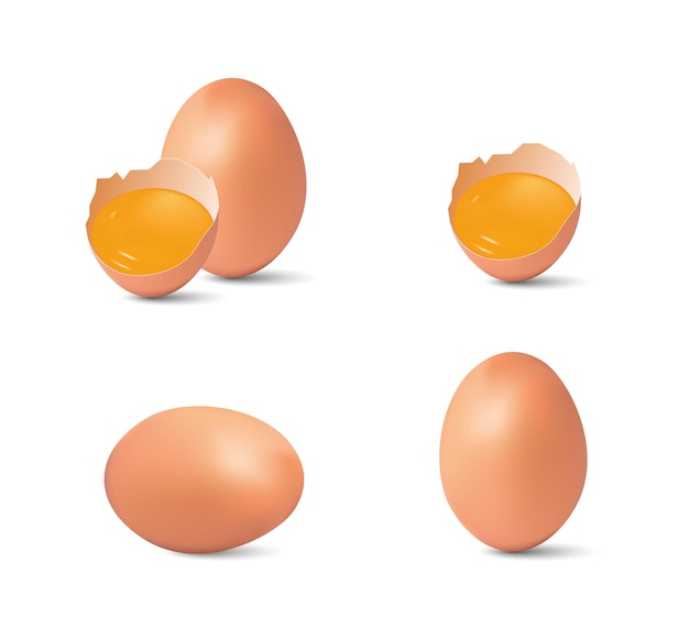 Куриные яйца, наполовину разбитые яйца и желток, изолированные на белом фоне векторная иллюстрация