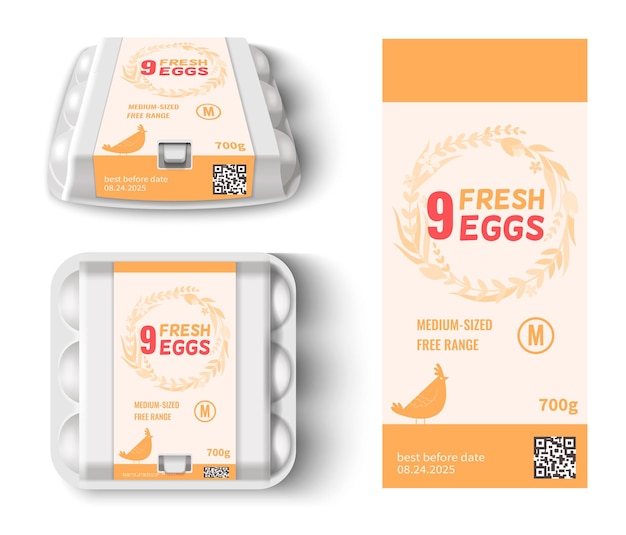 Vector chicken eggs package mockup and label template isolated against white background realistic vector illustration