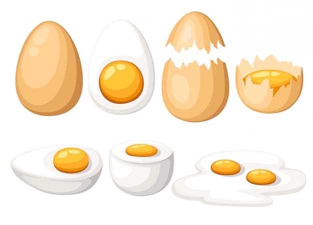 Vettore uova di gallina. set di uova arrostite, bollite, crude, affettate e incrinate. su sfondo bianco.