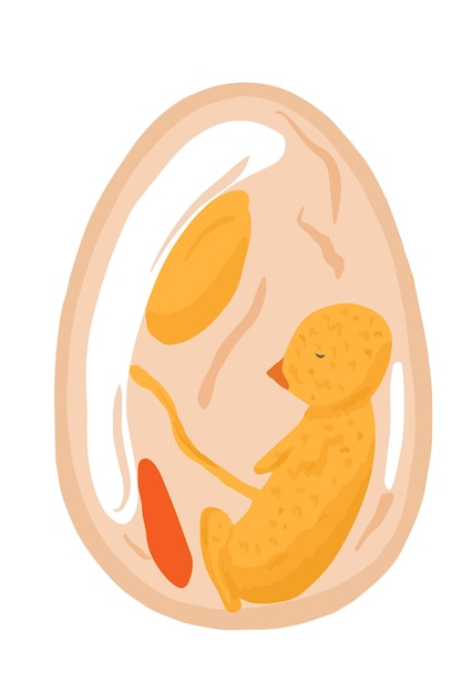 ベクトル 鶏胚卵ベクトル生物学図