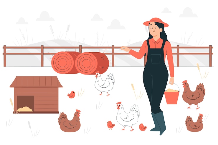 Vector chicken farm concept illustration
