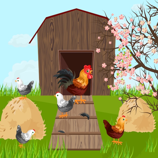 Vector chicken farm coop on green background