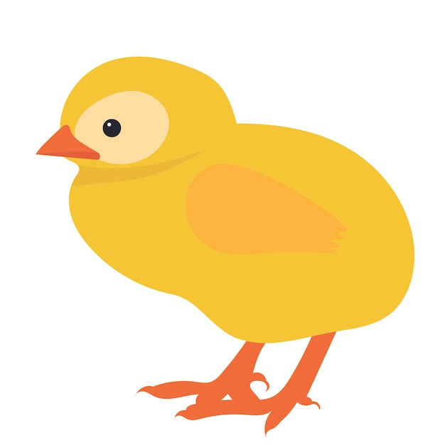 Chicken flat design isolated vector