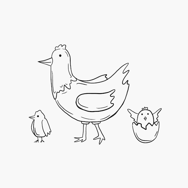 Illustrazioni vettoriali di doodle disegnato a mano di pollo