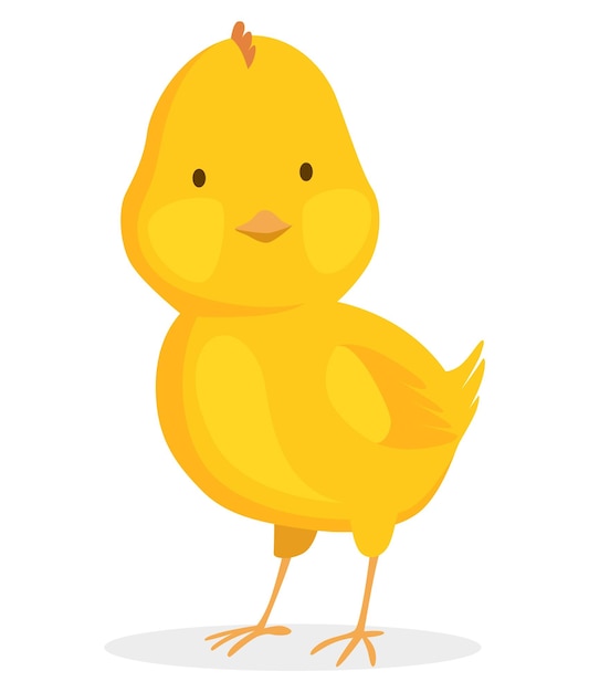 Chicken hatched from the egg cartoon baby chick small baby bird newborn little cute chick funny domestic animal funny and educational illustration for kids