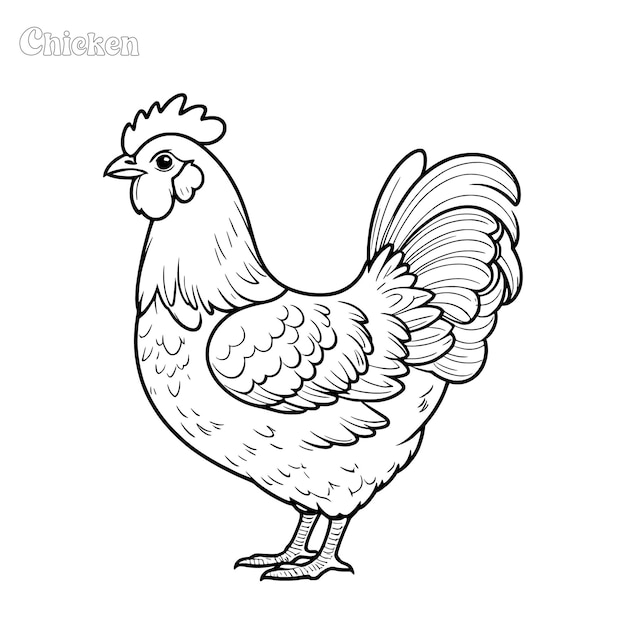 Vector chicken and hean hand drawn coloring page and outline vector design