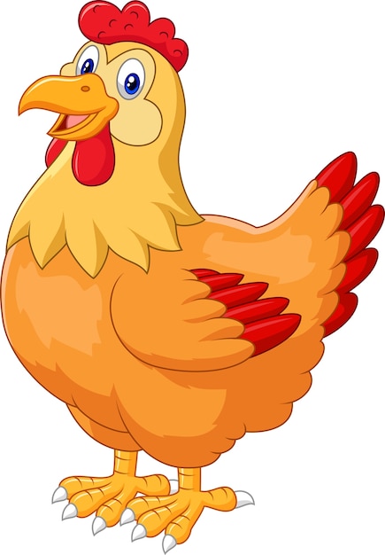 닭 암 탉 귀여운 포즈