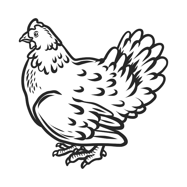Вектор Иконка курицы нарисованная вручную иллюстрация векторной иконки курицы для веб-дизайна