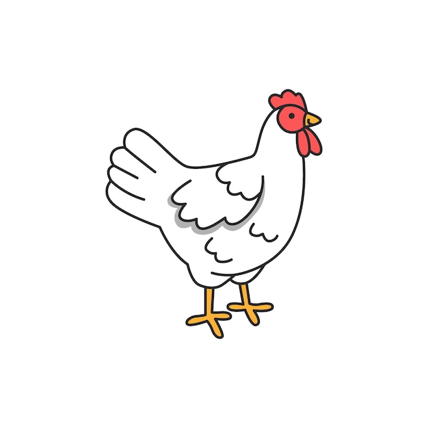 chicken illustration