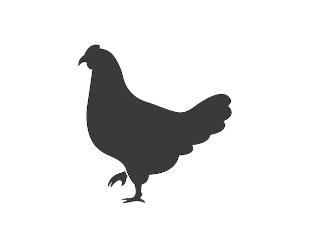 Chicken logo icon vector illustration