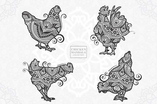 Vector chicken mandala boho style elements vector illustration