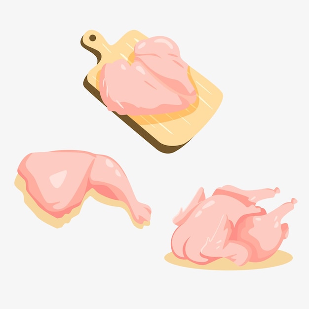 Vector chicken meat