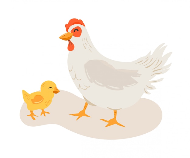 Vector chicken mother and his chick