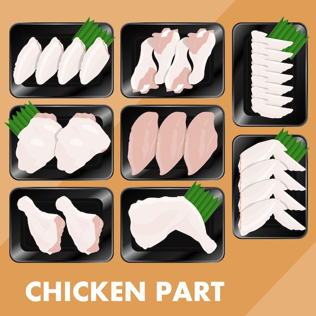 Vector chicken part set