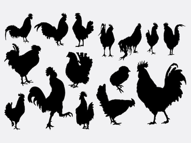 Siluetta dell'animale domestico del pollo e del gallo