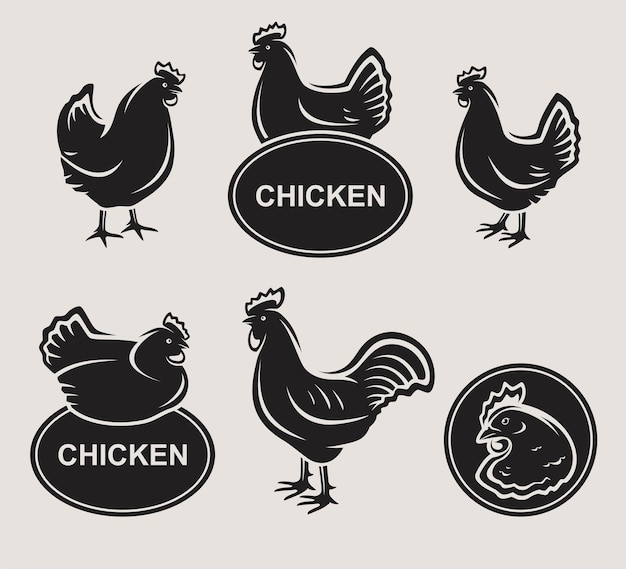 Chicken set vector