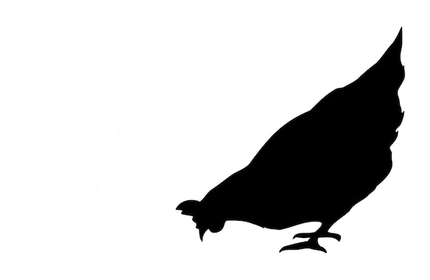 チキン シルエット ファーム コレクションから白い背景ベクトル シンボル デザインに分離されたシンプルなフラット スタイルの鳥要素