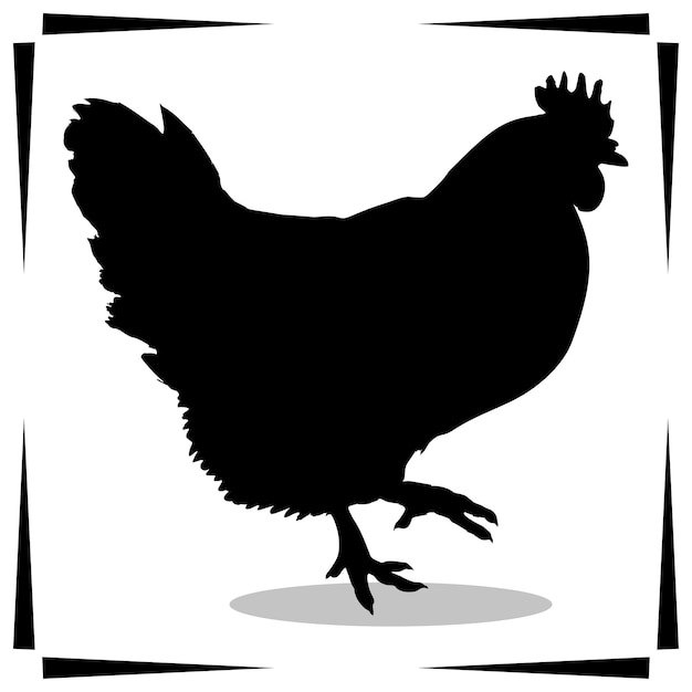Vector chicken silhouette illustrations chicken silhouette icon