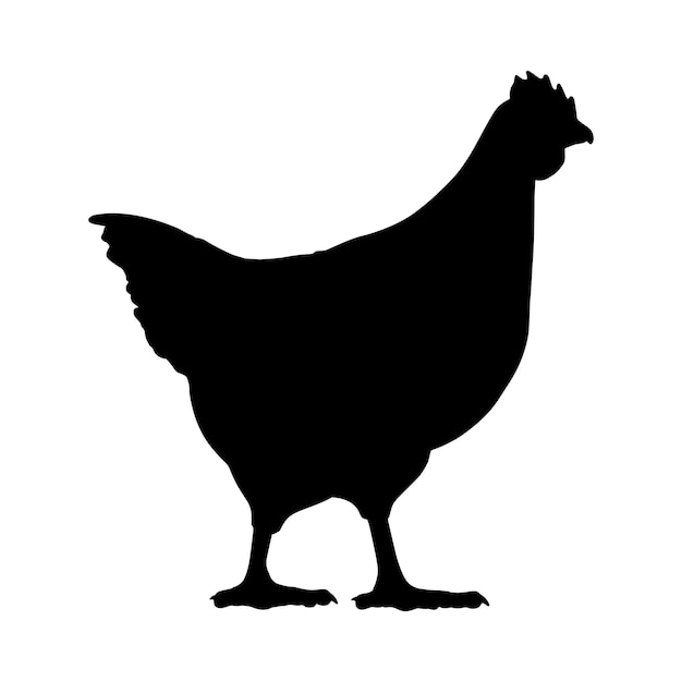 chicken silhouette set collection isolated black on white background vector illustration