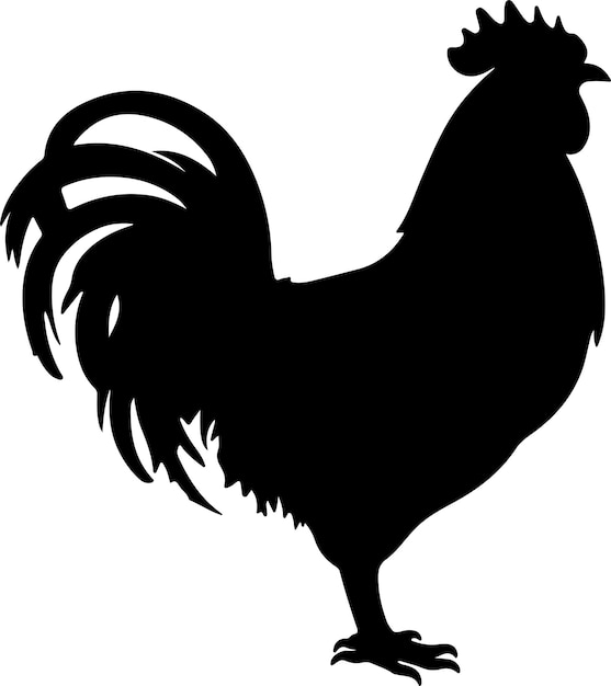 Vector chicken silhouette vector illustration white background