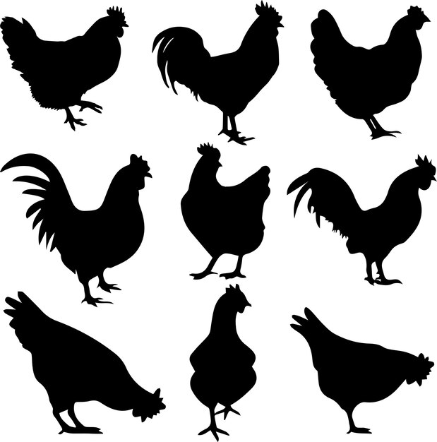 Vector chicken silhouette vector illustration