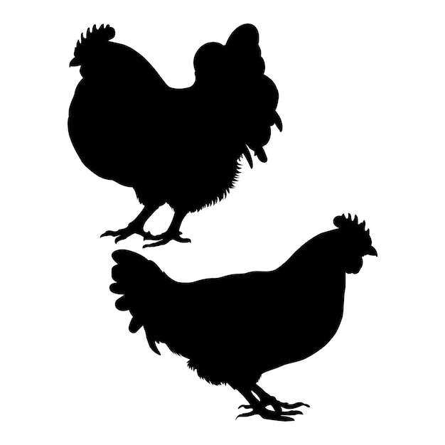 Chicken silhouette on white background