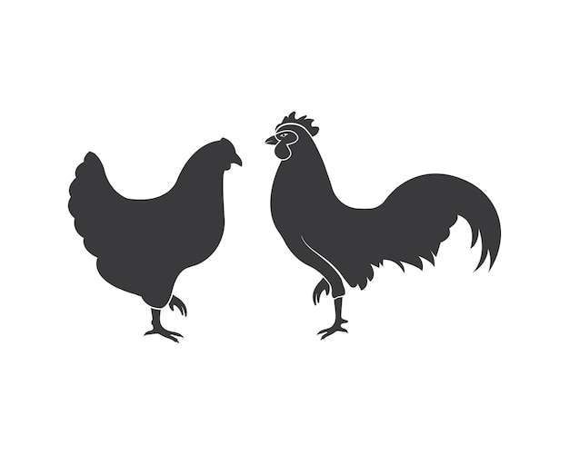 Chicken vector illustration design