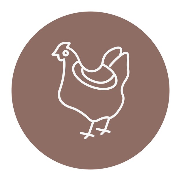 Chicken vector illustration