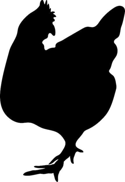 Vector chicken vector or silhouette