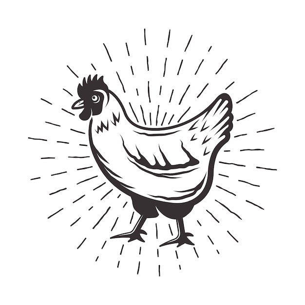 Vector chicken with sunbursts rays monochrome illustration in retro style