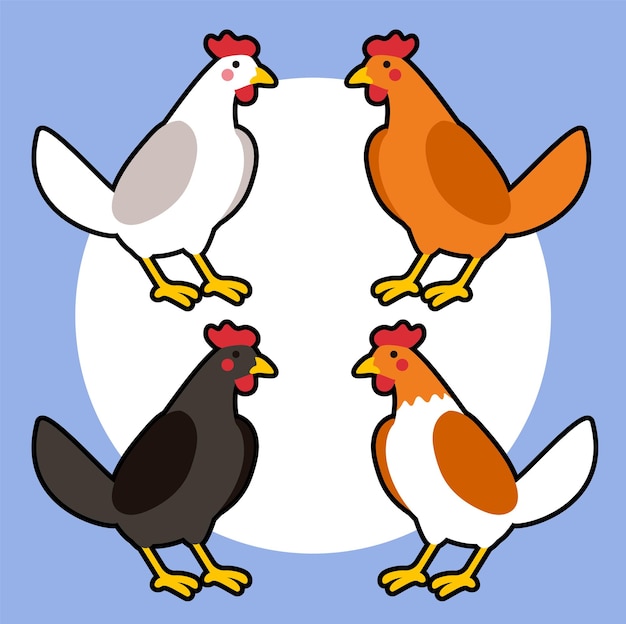 chickens cartoon vector illustration