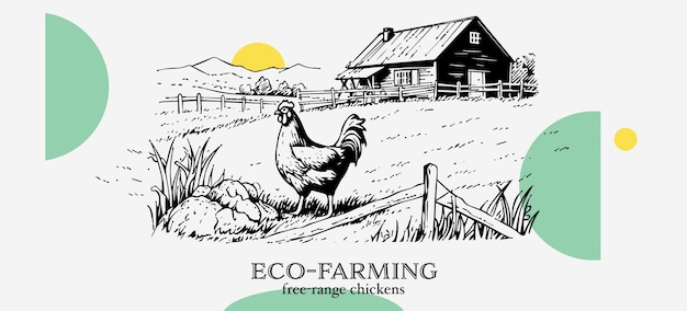 Chickens in farm sketch Rural landscape in vintage engraving style vector illustration