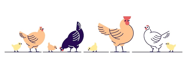 Illustrazione vettoriale piatta di polli. pulcini multicolori, galline e cartoni animati di gallo e elementi di design isolati con contorno. produzione di carne di pollo, allevamento di uccelli. allevamento di pollame, zootecnia