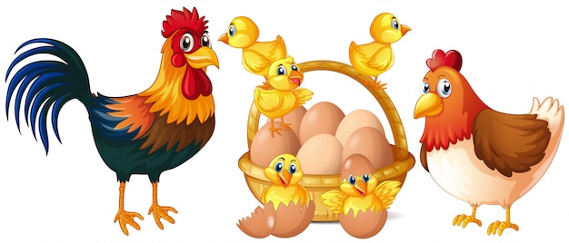 Vector chickens and little chicks with basket of eggs