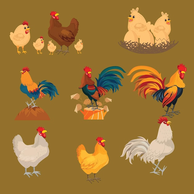 Vector chickens set vector illustration in color set of male female and chicks brown and white chicken