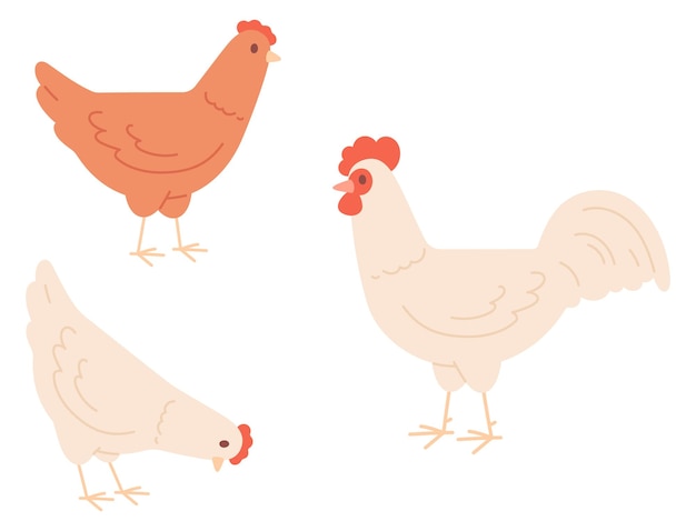 Chickens walking Farm birds color icon Poultry animals