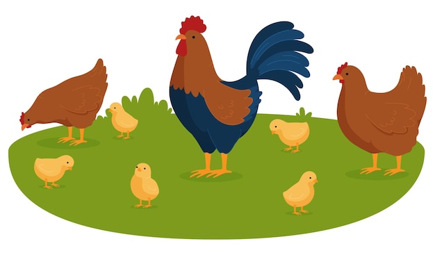Цыплята с петухом Деревня - птицефабрика Векторная иллюстрация