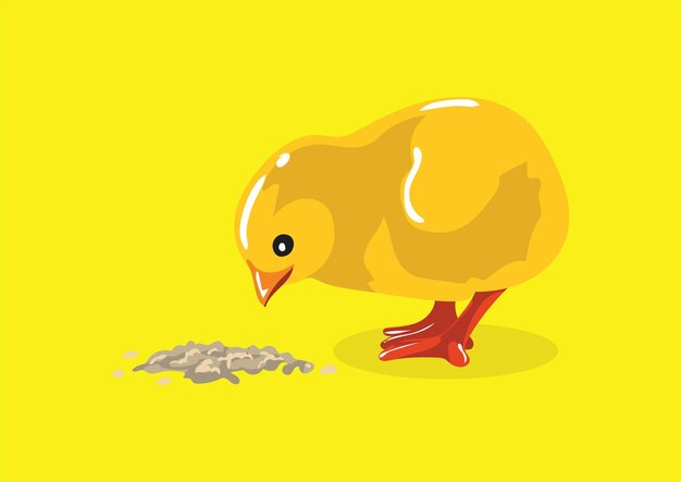 Chicks vector