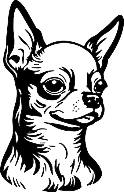 Chihuahua dog face isolated on a white background svg vector illustration