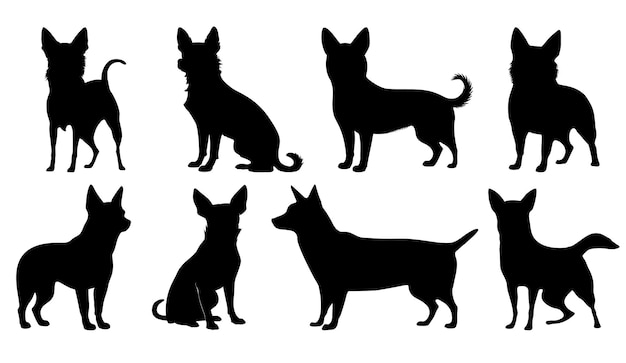 Chihuahua kleine hond zwarte silhouetten set Iconen huisdier in verschillende poses