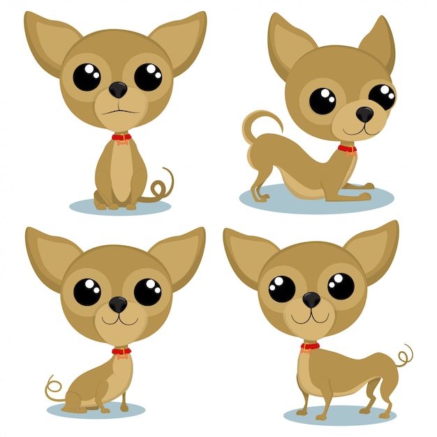 Chihuahua stripfiguur in verschillende poses. Schattige kleine honden vector set geïsoleerd