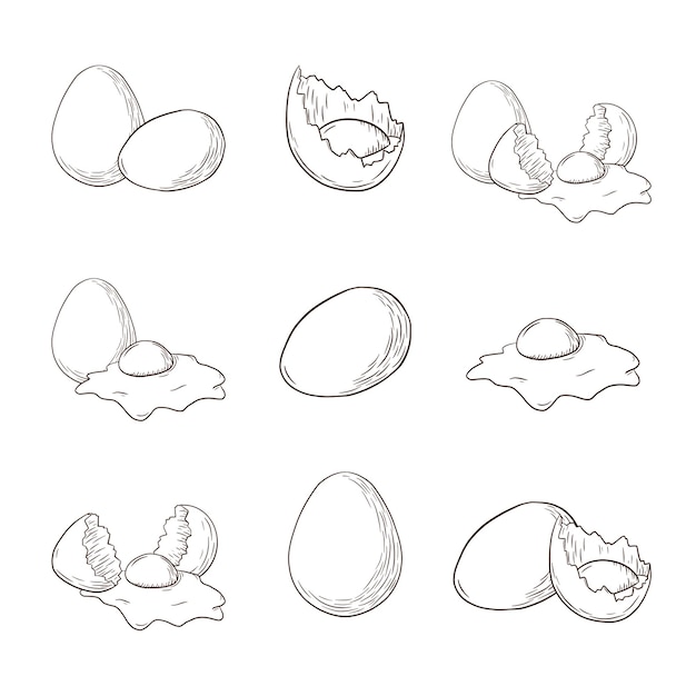 Chiken 계란 조각 삽화 세트. 메뉴, 스티커, 조리법, 로고, 인쇄, 포스터를 위한 손으로 그린 빈티지 신선한 농장 계란 스케치 모음