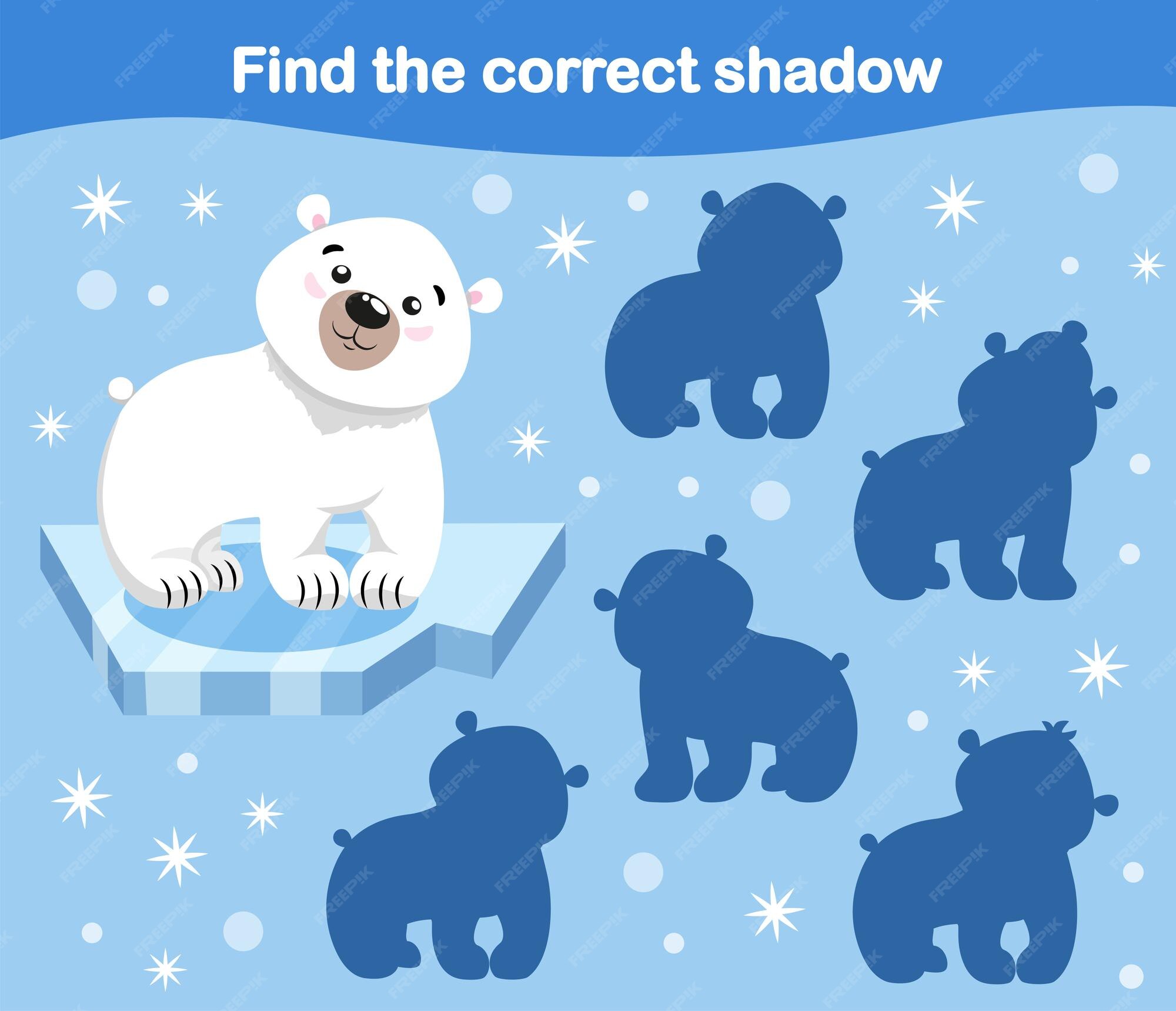 Premium Vector | Child game find the shadow of the polar bear animals