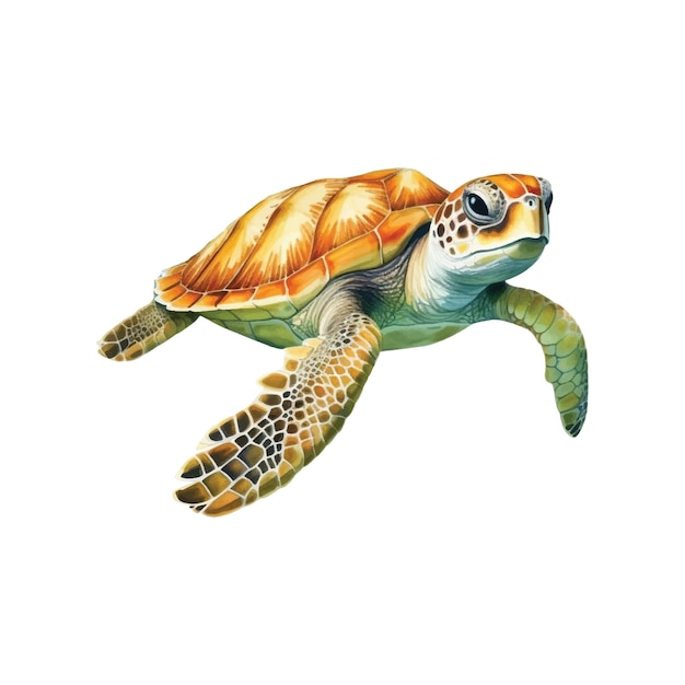 Vector childishly cute watercolor sea turtle illustration drawing on a white background