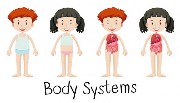 Children and body systems